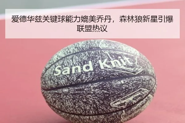 爱德华兹关键球能力媲美乔丹，森林狼新星引爆联盟热议