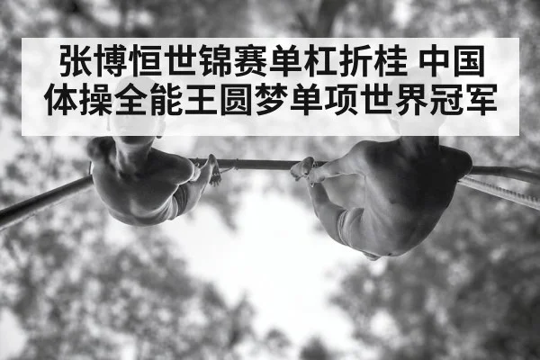 张博恒世锦赛单杠折桂 中国体操全能王圆梦单项世界冠军